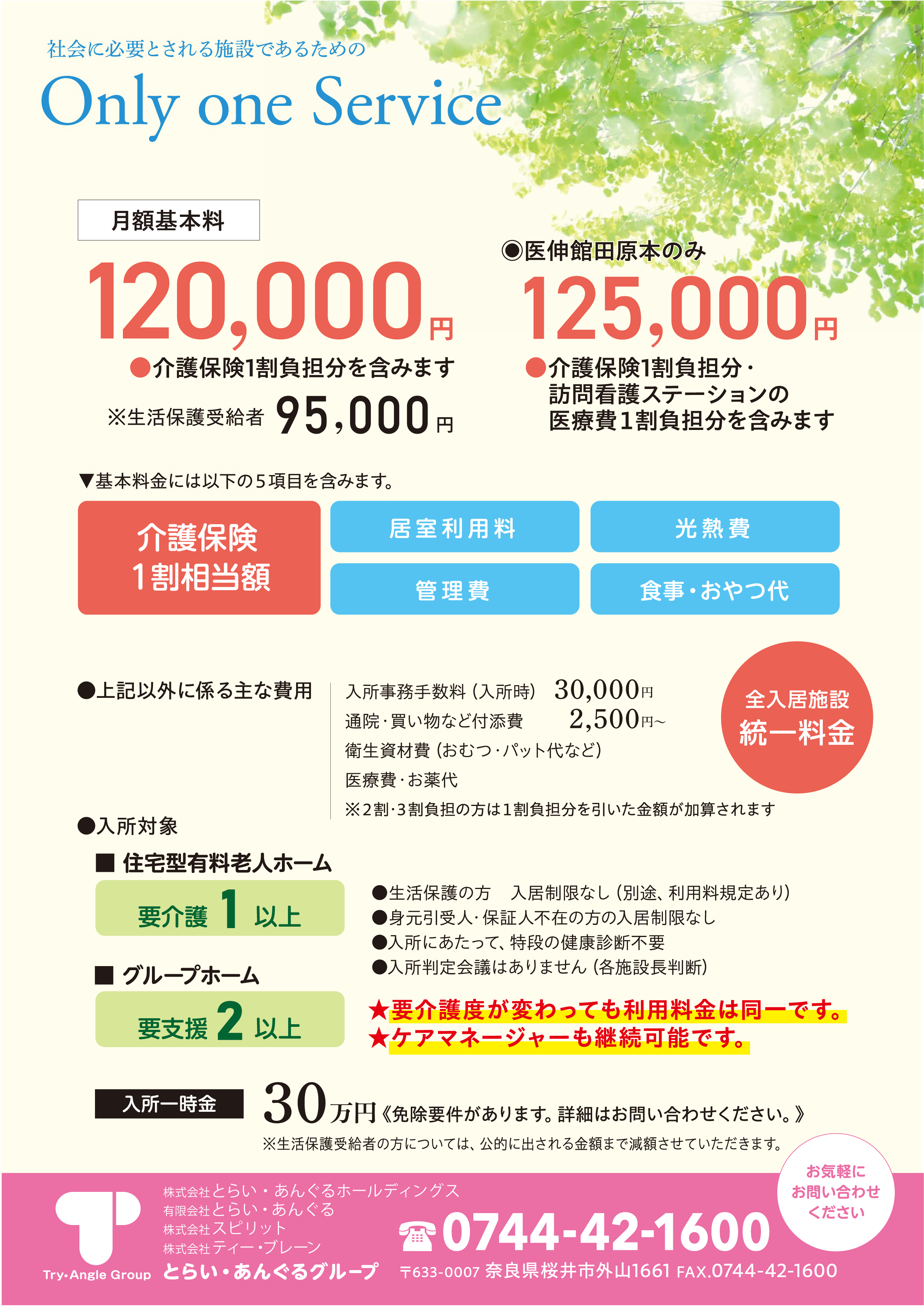 とらいあんぐるチラシ